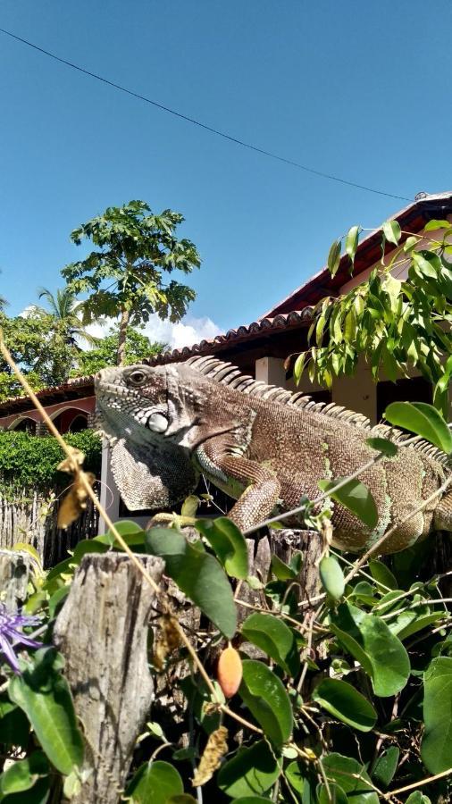 Inn Eolos Barra Grande (Piaui)